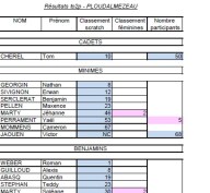 vignette pour site tableau excel
